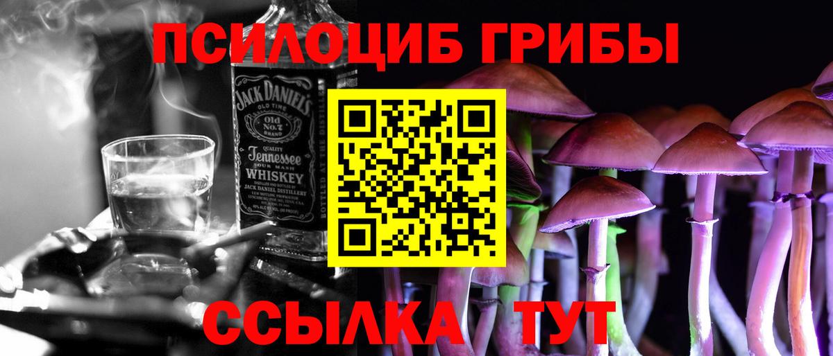 Галлюциногенные грибы Magic Shrooms  дарнет шоп  Пугачёв  Вход с VPN 